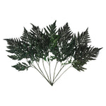 Vickerman H3LLF150 12-15" Fern Green Fern-Leatherleaf 6 Stems Preserved