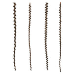 Vickerman H2LXL000 40-48" Natural Ladder Branches - Xl Straight 7 Stems Dried