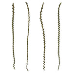 Vickerman H2LXL100 40-48" Basil Ladder Branches - Xl Straight 7 Stems Dried
