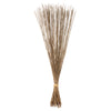 Vickerman H1MAR000 30" Natural Marsh Reed Bundle Tied With Rafia 10 Oz Dried