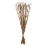 Vickerman H1MAR000 30" Natural Marsh Reed Bundle Tied With Rafia 10 Oz Dried