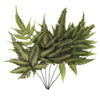 Vickerman H3OMB100 18-20" Basil Fern- Ombre 6 Stems Preserved