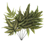 Vickerman H3OMB100 18-20" Basil Fern- Ombre 6 Stems Preserved