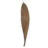 Vickerman H2PAM000-1 6-12" Natural Palm Paddles Includes 32-37 Pieces Dried