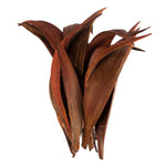 Vickerman H2PAM800-1 6-12" Dark Brown Palm Paddles Includes 32-37 Pieces Dried