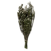 Vickerman H1PHY000 12-22" Natural White Phylica Bundle 5-6 Oz Preserved