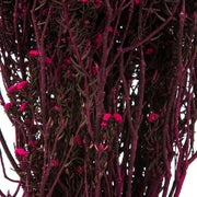 Vickerman H1PHY425 12-22