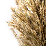 Vickerman H1PLR000-2 36