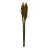 Vickerman H1PLR725 36" Aspen Gold Plume Reed Bundle (15-20 Stems) Preserved