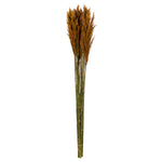 Vickerman H1PLR750 36" Autumn Plume Reed Bundle (15-20 Stems) Preserved
