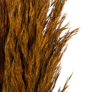 Vickerman H1PLR750 36
