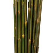 Vickerman H1PLR750 36