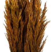 Vickerman H1PLR750 36