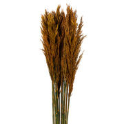 Vickerman H1PLR750 36