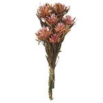Vickerman H1PMF400 8-20" Erica Pink Plumosum Female 8 Flower Heads Per Bundle Preserved