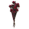 Vickerman H1PMF450-1 8-20" Merlot Plumosum Bundle 13 Flower Heads Per Bundle Preserved