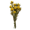 Vickerman H1PMF700 8-20" Yellow Plumosum Female - Prsvd 8 Heads