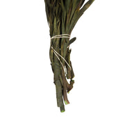 Vickerman H1PMF725 8-20