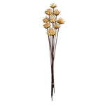 Vickerman H1PMH000 20" Natural Plumosum Head Attached To A Brown Stem 9 Stems Dried