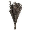 Vickerman H1PUB900 18-20" Silver White Pubescens 5 Oz Bundle Preserved