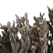 Vickerman H1PUB900 18-20