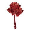 Vickerman H1QUE475 8" Dried Red Queen Flower