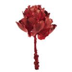 Vickerman H1QUE475 8" Dried Red Queen Flower