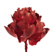 Vickerman H1QUE475 8
