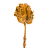 Vickerman H1QUE725 8" Flower Aspen Gold Queen Flower 1 Stem Dried