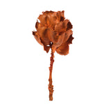 Vickerman H1QUE750 8" Flower Autumn Queen Flower 1 Stem Dried