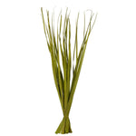 Vickerman H2RUS100 36-40" Basil Rush Grass 7 Oz Bundle Dried