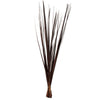Vickerman H2SAG800 36-40" Brown Sable Grass 7 Oz Bundle Dried