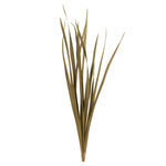 Vickerman H1SNG000-3 18-30” Natural Snake Grass. Includes 36 Stems (3 - 12 Stem Bundles) Dried