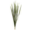Vickerman H1SNG100-3 18-30” Basil Snake Grass. Includes 36 Stems (3 - 12 Stem Bundles) Dried