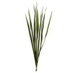 Vickerman H1SNG100-3 18-30” Basil Snake Grass. Includes 36 Stems (3 - 12 Stem Bundles) Dried