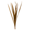 Vickerman H1SNG725 18-30” Aspen Gold Snake Grass 12 Stems Per Bundle Dried