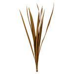 Vickerman H1SNG725 18-30” Aspen Gold Snake Grass 12 Stems Per Bundle Dried