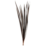 Vickerman H1SNG800-3 18-30” Brown Snake Grass. Includes 36 Stems (3 - 12 Stem Bundles) Dried