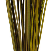 Vickerman H2SPG100 28”  Basil Splinter Grass 11 Oz Bundle Dried