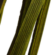 Vickerman H2SPG100 28”  Basil Splinter Grass 11 Oz Bundle Dried