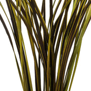 Vickerman H2SPG100 28”  Basil Splinter Grass 11 Oz Bundle Dried