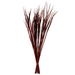 Vickerman H2SPG475 28” Red Splinter Grass 11 Oz Bundle Dried