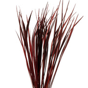 Vickerman H2SPG475 28” Red Splinter Grass 11 Oz Bundle Dried