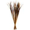 Vickerman H2SPG725 28” Aspen Gold Splinter Grass 11 Oz Bundle Dried
