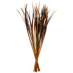 Vickerman H2SPG725 28” Aspen Gold Splinter Grass 11 Oz Bundle Dried