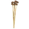 Vickerman H1SPK222 18-24” Natural Spider Knobs On Reed Stem 9 Stems Dried
