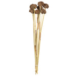Vickerman H1SPK222 18-24” Natural Spider Knobs On Reed Stem 9 Stems Dried