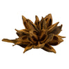 Vickerman H2STAX725 12-16" Aspen Gold Star Pod Extra Large