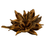 Vickerman H2STAX725 12-16" Aspen Gold Star Pod Extra Large