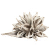 Vickerman H2STAX900 12-16" White Wash Star Pod Extra Large